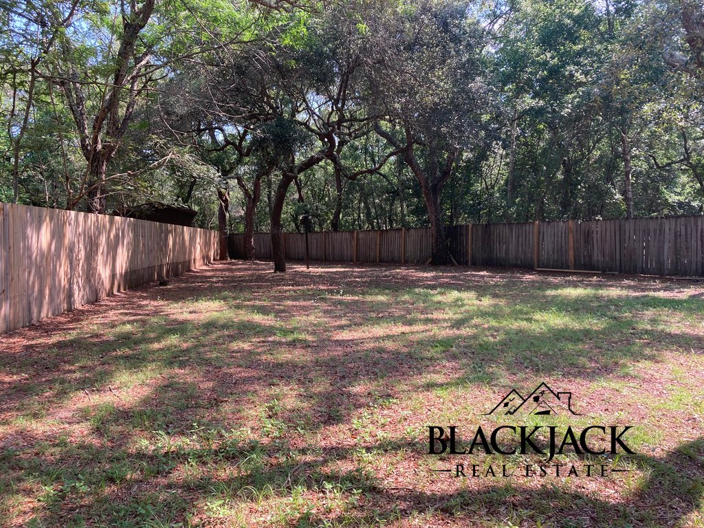 005-backyard