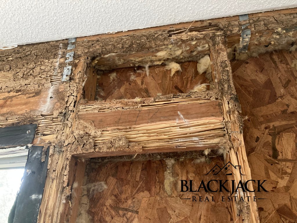 010-termite-damage-window-header
