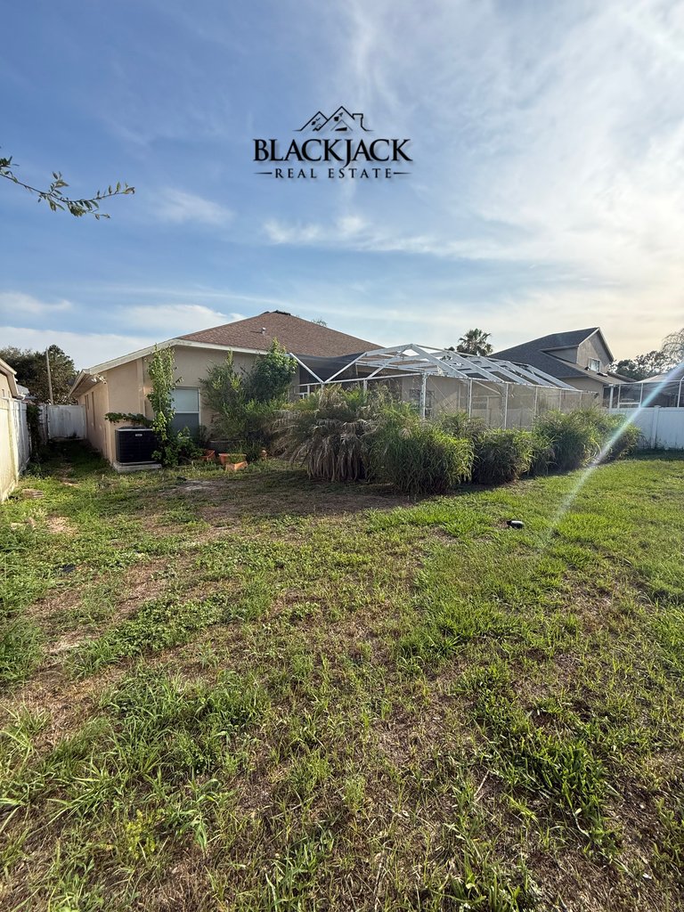 12-backyard